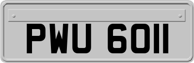 PWU6011