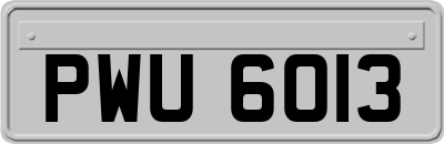 PWU6013