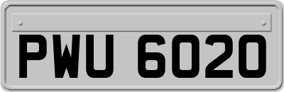 PWU6020