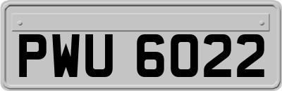 PWU6022