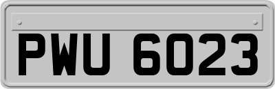 PWU6023