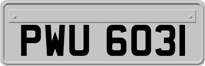 PWU6031