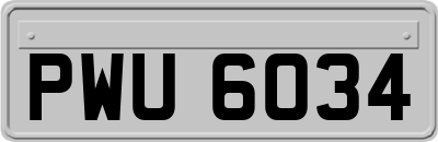 PWU6034