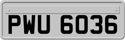 PWU6036