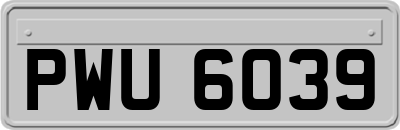 PWU6039