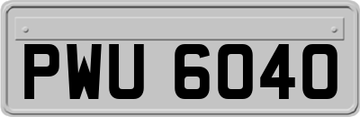 PWU6040