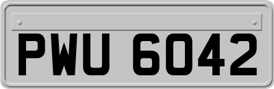 PWU6042