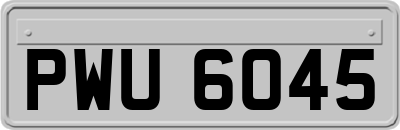 PWU6045