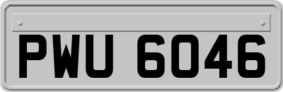 PWU6046