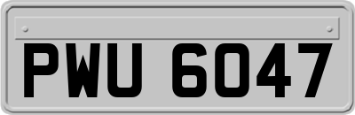 PWU6047