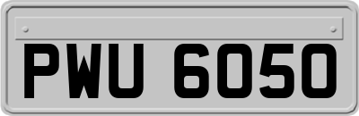 PWU6050