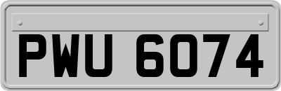 PWU6074