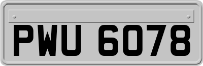 PWU6078