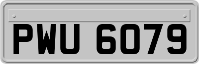 PWU6079