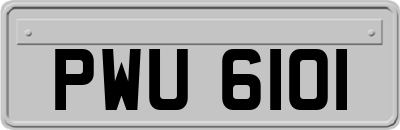 PWU6101