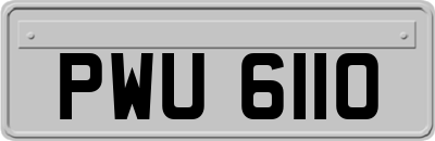 PWU6110