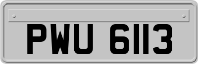 PWU6113