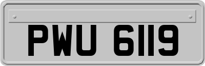 PWU6119