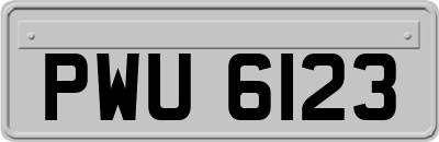 PWU6123