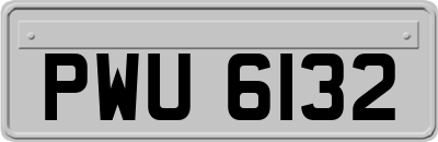 PWU6132