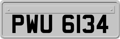 PWU6134