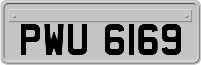 PWU6169