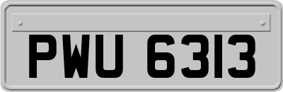 PWU6313
