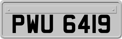 PWU6419