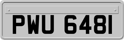 PWU6481