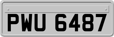 PWU6487