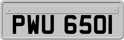 PWU6501