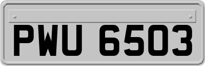 PWU6503