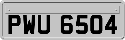 PWU6504