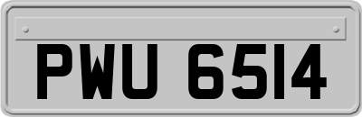 PWU6514