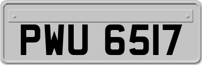 PWU6517