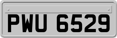 PWU6529