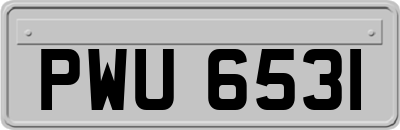 PWU6531