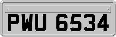 PWU6534