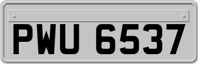 PWU6537