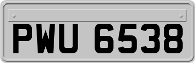 PWU6538