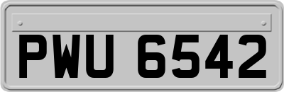 PWU6542