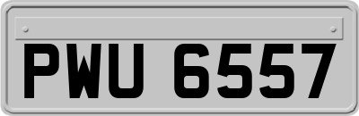 PWU6557