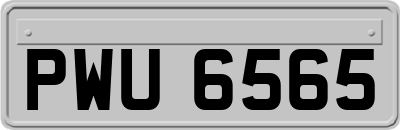 PWU6565