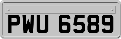 PWU6589