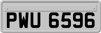 PWU6596