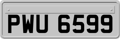 PWU6599