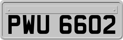 PWU6602