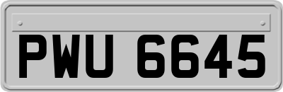 PWU6645