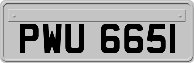 PWU6651