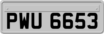 PWU6653